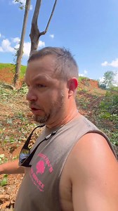 35K views · 746 reactions | 100ft poplar tree vs. Bobcat E60 mini X | Brittain's Tree and Crane Service | Facebook