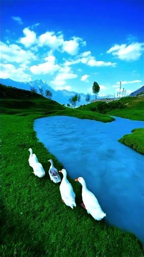 Smooth Green Jungle in 16K HDR • Cinematic Nature Shot • Relaxing Forest Vibes 🌿✨