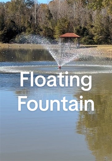 Enhance Your Pond with a Floating Fountain Aerator