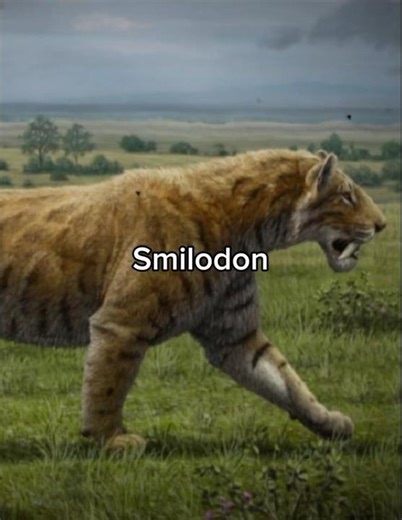 Why you wouldn't survive 10 seconds in the real Ice Age...#iceage #prehistoric