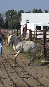 14K views · 286 reactions | Now here's a princess!  濾 FAMOUS BY LUCK...