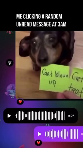 That’s wrong on Instagram: "The bark of doom dropped harder than Hiroshima 💣🐶 . . . . . . . . . . . . . . . . . . . . . . . An explosive is a reactive substance containing significant potential energy that, when released suddenly, produces an explosion characterized by the generation of heat, light, sound, and pressure. Explosives are categorized based on their reaction speed and sensitivity: - Low explosives deflagrate, or burn rapidly, and are typically used as propellants in firearms and fi