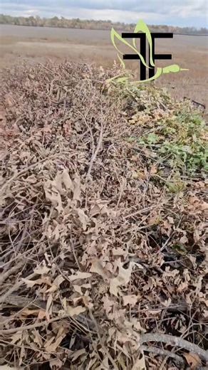 5.3K views · 54 reactions | Work weekends are almost over. Excited to...