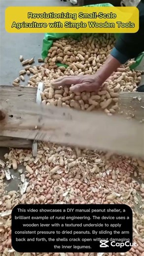 How DIY Lever Systems Increase Peanut Processing Speed