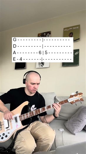 Mr. Krinkle - Primus bass cover #bassguitar #bass #cover #basscover #bassist #primus #lesclaypool