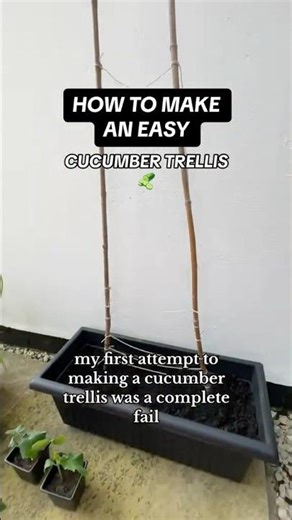 How to Make An Easy Cucumber Trellis | Beginner Gardening 🥒