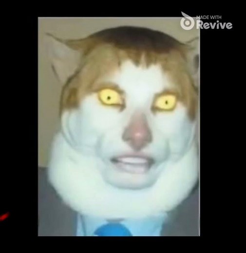 Sigma Cat - Monday left me Broken💔 (slowed + reverb😭) (lyrics)