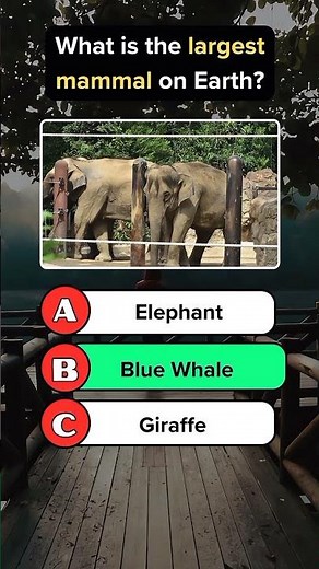 Can You Solve These Tricky Riddles? 🧠 |Only Geniuses Solve These Riddles 😱 |