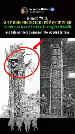 WW2 German Snipers Used “Tree Bark” Camouflage 😳 #shorts #WW2 #WorldWar2 #GermanArmy #snipers