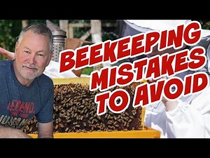 Beekeeping Mistakes Experienced Beekeepers Do Not Make
