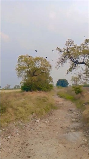 nisarg. sundar. hai#❤️😚sort. #vidios