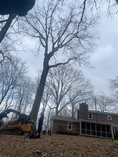 Advanced Tree LLC. on Reels | Facebook