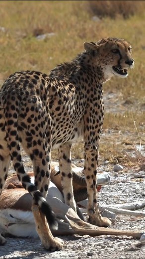 1.1K reactions · 5 comments | Your Next Adventure Awaits! Looking for...