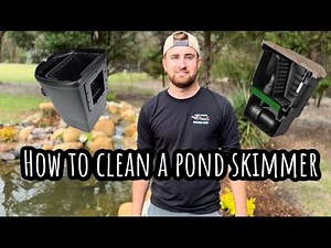 How to clean a koi pond skimmer