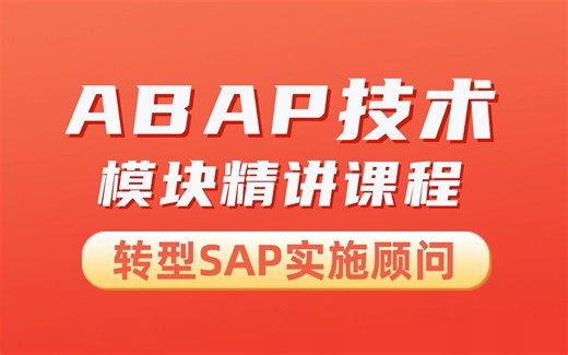 SAP——ABAP模块视频学习教程 零基础转型SAP顾问 小白入行