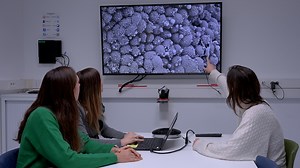 Microdissection and Whole Mount Scanning Electron Microscopy Visualization of Mouse Choroid Plexus