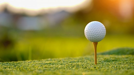 12 Creative Ways To Repurpose Old Golf Tees Around The House And Garden - House Digest