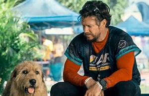 Mark Wahlberg befriends an inspirational stray dog in Arthur the King trailer