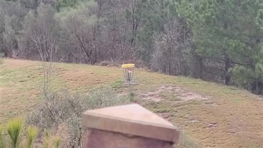 1.2K reactions · 80 shares | Chad Stephenson with the ace!  Hole 9, Leigh Farms with his Champion TL3  #discgolf #innovadiscs #ace | Innova Discs | Facebook