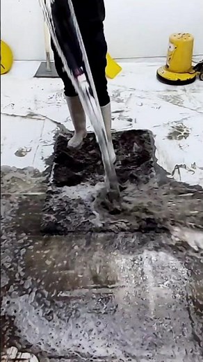 Satisfying asmr carpet cleaning video