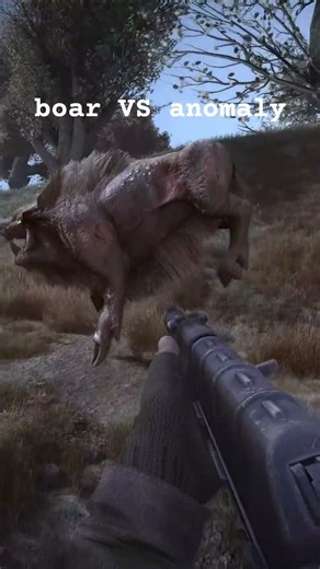 boar vs anomaly #stalker #stalkergamma