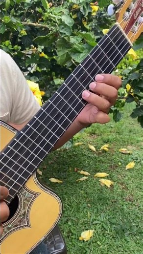 Clásicos del requinto #guitarristaslatinos #guitarra #guitar