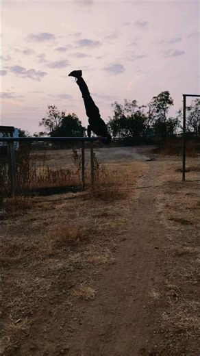 New year New calisthenic#phonk#motivation