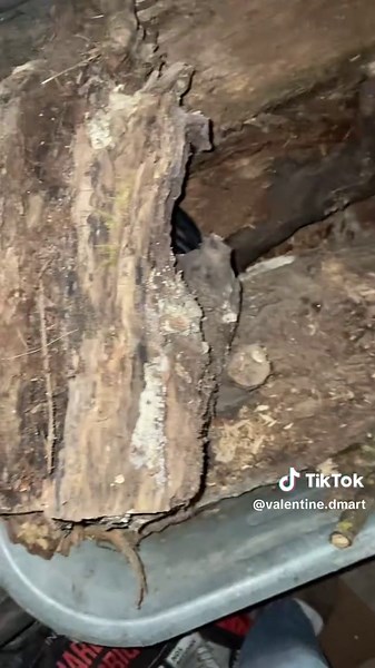 Les erreurs de débutant en Australie : Évitez-les !