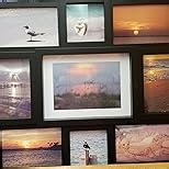 Malden International Designs Black 9 Opening Collage Photo Frame