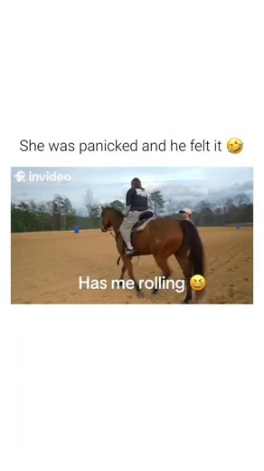 ILL HUMORS on Instagram: "This video captures a common behavioral phenomenon in equine training when a rider loses control of speed and direction. ​The Subject A domestic horse and rider are shown in a sandy arena. The horse is displaying a flight response, characterized by an accelerated gallop and resistance to the rider’s physical cues, while the rider struggles to regain balance and apply effective braking pressure. ​The Mechanism The horse engages its powerful hindquarter muscles to maintai