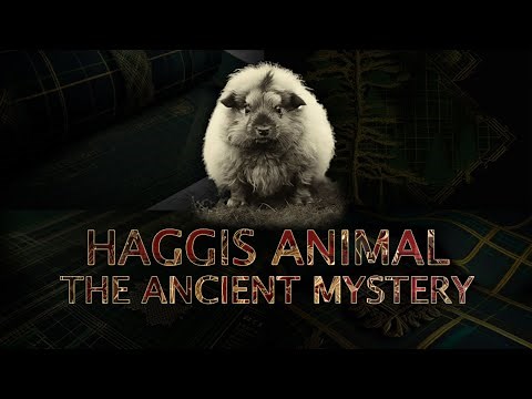 Haggis Animal The Ancient Mystery | Mythical Scotland Nature Documentary