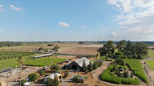 44 reactions · 4 comments | Looking for California's coolest Pumpkin...