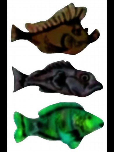 Blue's Clues: Fish O' Animal Behavior: Leaf Fish, Rock Fish & Parrot Fish