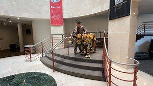 BE ADVISED: Royal Bengal Tiger Spotted Uptown 🐅👀 Richard Parker, the iconic tiger from Life of Pi Broadway, is prowling our beautiful Belk Theater NOW through Sunday! Get your tickets TODAY to experience this spellbinding puppetry, breathtaking stagecraft and extraordinary storytelling LIVE! Visit: BlumenthalArts.org/LifeofPi | Blumenthal Arts