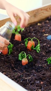 1.4M views · 6.5K reactions | Dicas Essenciais Para O Cuidado E Manutenção De Plantas | Ideias Incríveis Kids | Facebook