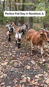 6 Hidden Gems to Visit in Rockford, Illinois