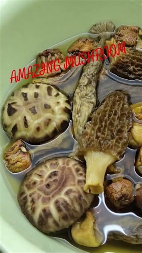 AMAZING DIFF. KIND OF MUSHROOM#asmr #SOUP#shortvideo #SUBSCRIBE.