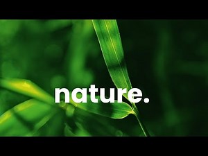 🍃 Beautiful Nature Background Music No Copyright | Ethereal, Relaxing & Ambient Piano