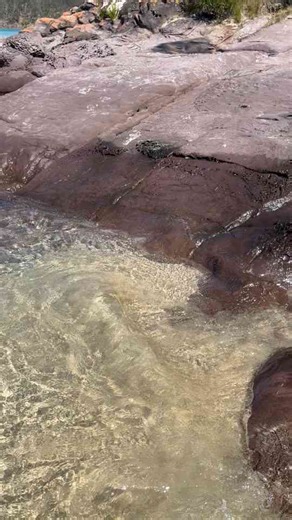 Crystal Clear Waters and Rocky Shores