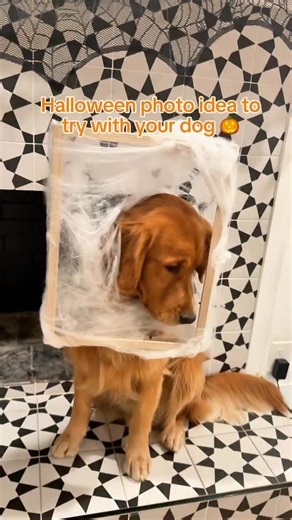 3.7K views · 34 reactions | Save this for a unique and fun Halloween...