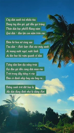 The Coconut Tree - Tran Dang Khoa #studycare #education