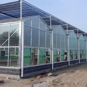 [Hot Item] Multi-Compartment Glass Greenhouse for Commercial Farming