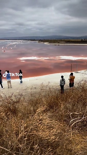 #Alviso #California #Bayarea