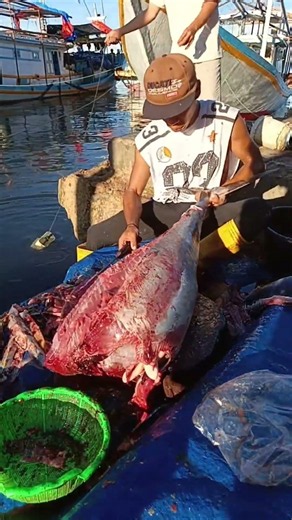 Filleting big tuna on the beach #fishcutting#seafood #fyp
