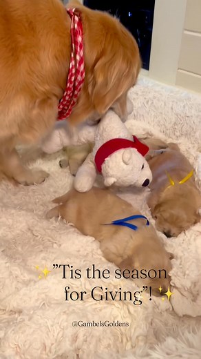 1.3M views · 53K reactions | ✨Taking it back to one of the most...