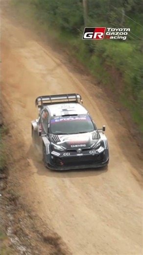 WRC 2025 Rd.11 Rally Chile BioBio SS4