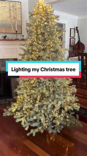 Fluffing My Christmas Tree with Fairy Lights