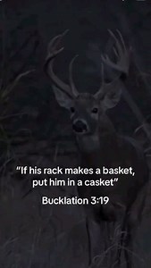 Bucklation Baby . #bowhuntbros #bowhunt #bowhunting #bowhunter #archery #outdoors #deer ( Via: @Unlimited Outdoors ) | 𝗕𝗼𝘄𝗛𝘂𝗻𝘁𝗕𝗿𝗼𝘀