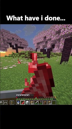 What Have I done #minecraft