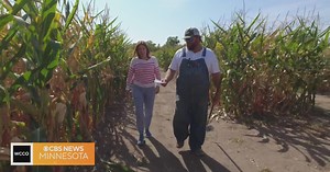 Good Question: How are corn mazes made?